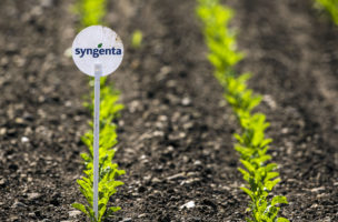 Die Übernahme durch Chemchina dürfte im 2. Quartal 2017 vollzogen werden: Saatguthersteller Syngenta. Foto: Patrick B. Krämer/Keystone