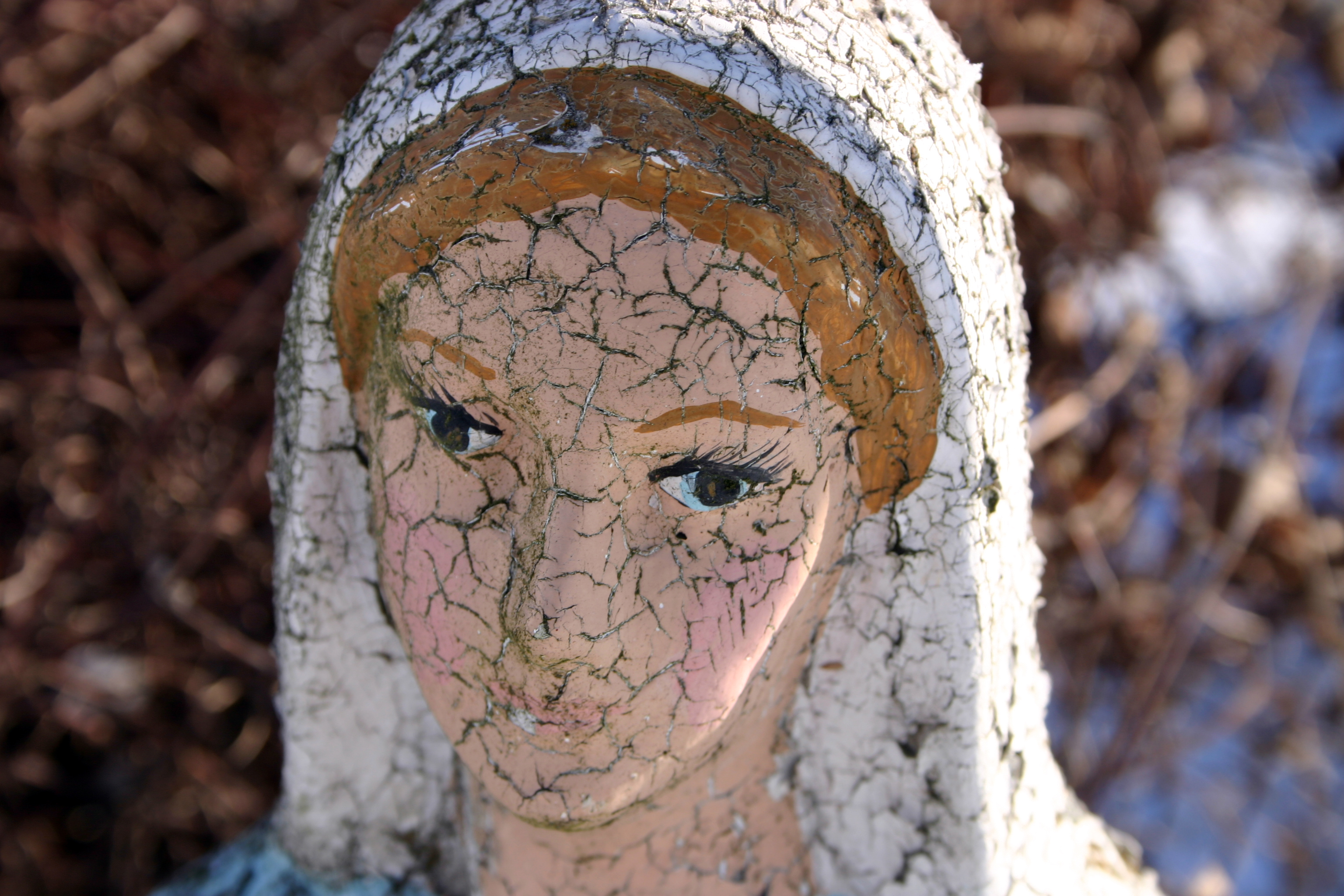 The Statue of the Virgin Mary in our backyard
