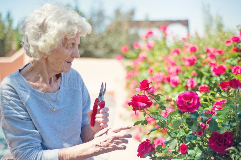Beschnittene Renten: Frauen trifft der Koordinationsabzug ungleich härter. Foto: iStock