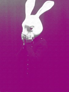 Jelena Savic, "Rabbits In Disguise"