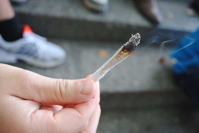 Schweizer Joint: Früher musste man bis zu 18 davon rauchen, um die Wirkung des jetzigen Schweizer Cannabis zu erreichen.