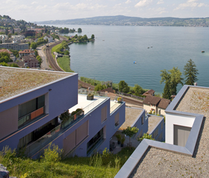 Der Steuertourismus hätte ein Ende: Terrassensiedlung im Kanton Schwyz am Zürichsee.