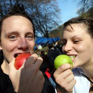 Einheimische Nahrungsmittel für alle: Garantiert schweizerische Äpfel. (Bild Keystone/Pro Specie Rara)