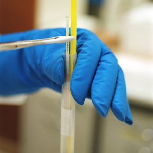 Dans un laboratoire de l'Hôpital universitaire de Berne, une manipulation : une éprouvette avec à l’intérieur une ovule fécondée (Image: Keystone)