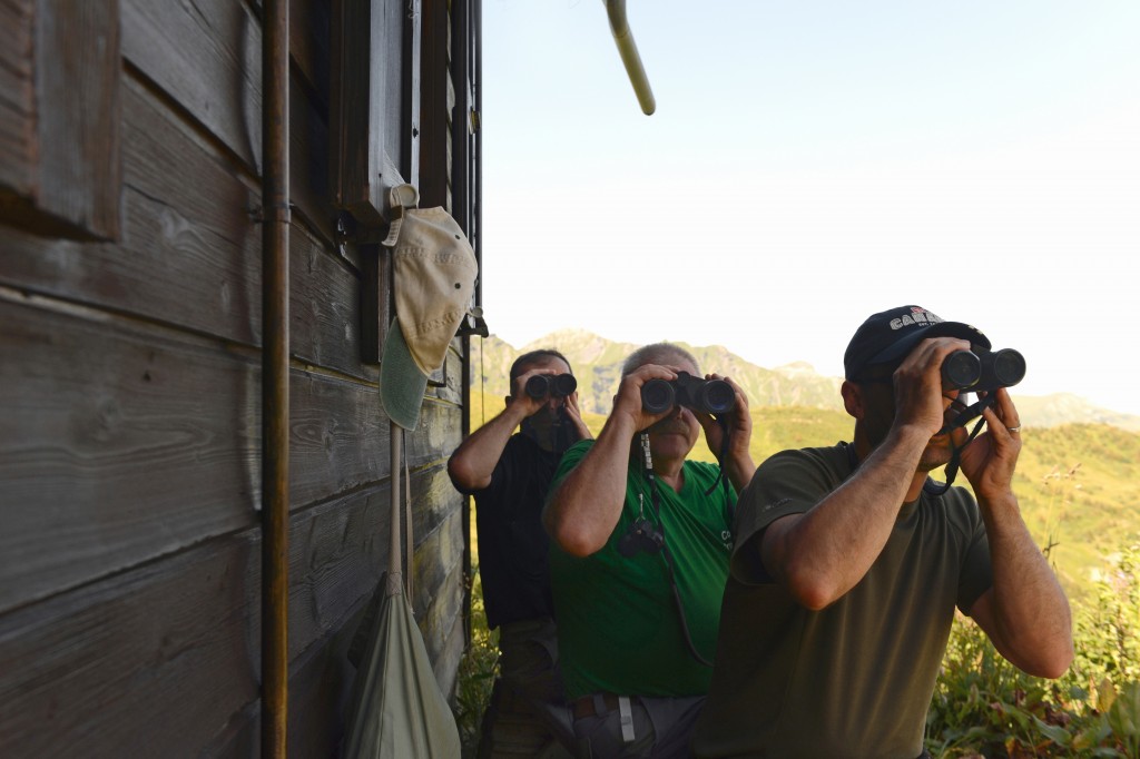 Col de Bretolet - Vogelberingungsstation der Vogelwarte Sempach - Helfer halten nach Vögeln Ausschau