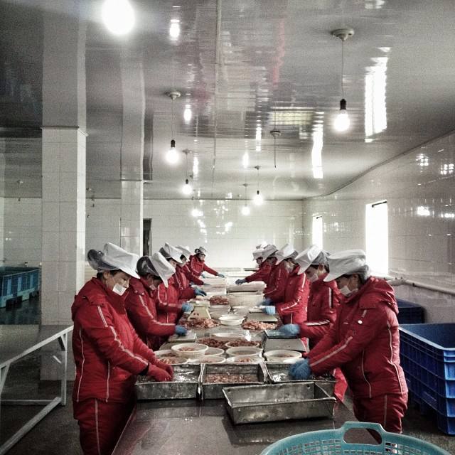 North Korean workers sort seafood at a factory in Rajin. (AP Photo/David Guttenfelder)