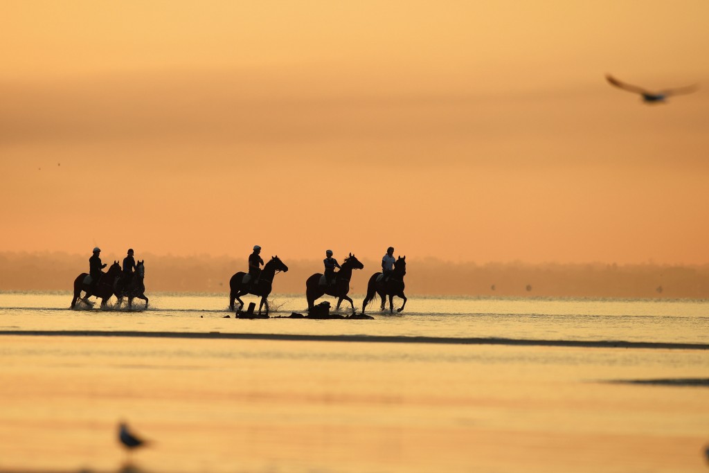 MELBOURNE, AUSTRALIA - OCTOBER 05: Horses from the Chris Waller stable walk through the shallow waters during a trackwork session at Altona Beach on October 5, 2015 in Melbourne, Australia. Horses pictured are Preferment, Who Shot Thebarman, Hawkspur, Royal Descent and Maygrove from the Murray Baker stable. (Photo by Vince Caligiuri/Getty Images)