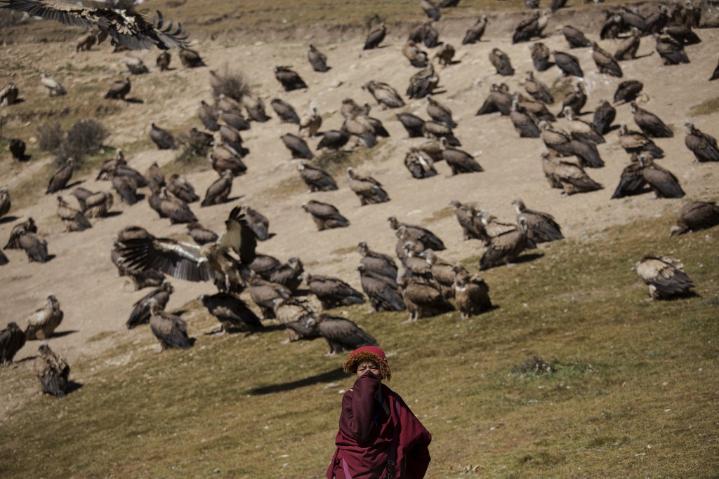 A Tibetan Buddhist monk protects himself from the smell of decomposing bodies as vultures come from skies for a sky burial near the Larung valley located some 3700 to 4000 metres above the sea level in Sertar county, Garze Tibetan Autonomous Prefecture, Sichuan province, China October 31, 2015. In early afternoons, on a hill near famous Larung Wuming Buddhist Institute relatives and onlookers gather for sky burials in which bodies of deceased people are offered to vultures to prey upon it. Such burials are practiced by some Tibetans and Mongolian in China as an extreme type of Buddhist's "self-sacrifice almsgiving". It is believed that feeding vultures with decomposed corpse of relatives on top of a mountain is a respectful to pay tribute to their passed-away beloved ones. Picture taken October 31, 2015. REUTERS/Damir Sagolj
