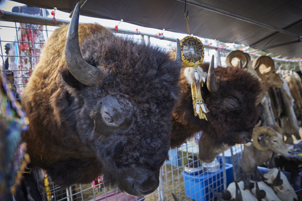 South Dakota USA, Arts Festival anlaesslich des Buffalo Roundup 2015 im Custer State Park. Foto: Moritz Hager