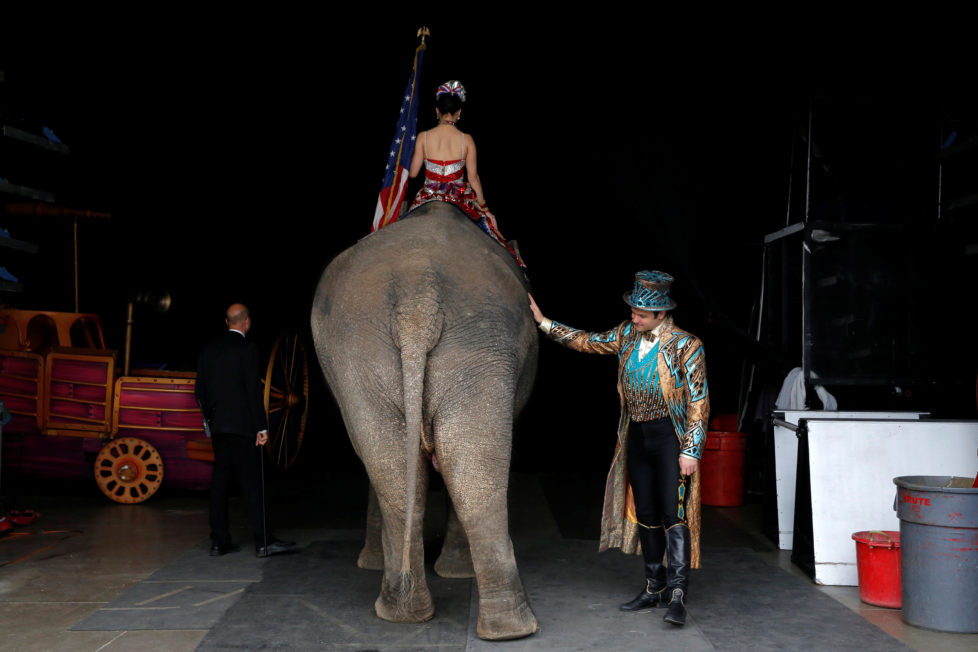 Ringmaster David Shipman pauses as a performing elephant prepares to enter the arena for Ringling Bros and Barnum & Bailey Circus' "Circus Extreme" show at the Mohegan Sun Arena at Casey Plaza in Wilkes-Barre, Pennsylvania, U.S., April 30, 2016. REUTERS/Andrew Kelly - RTX2C9D1
