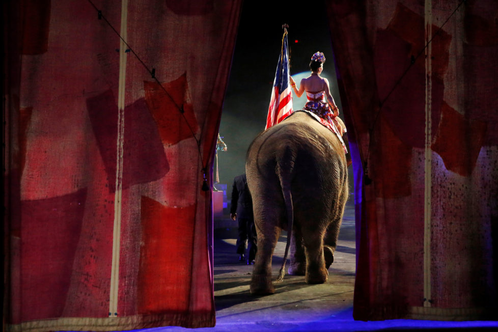 One of Ringling Bros and Barnum & Bailey Circus' performing elephants enters the arena for it's final show in Wilkes-Barre, Pennsylvania, U.S., May 1, 2016. REUTERS/Andrew Kelly TPX IMAGES OF THE DAY - RTX2CDD5