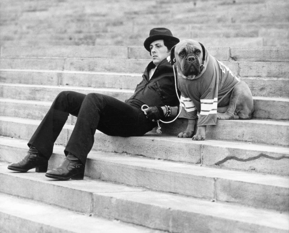 American actor Sylvester Stallone sits on a staircase while holding the leash of a dog wearing a football jersey in a still from the film, 'Rocky,' directed by John G. Avildsen, 1976. (Photo by United Artists/Courtesy of Getty Images)