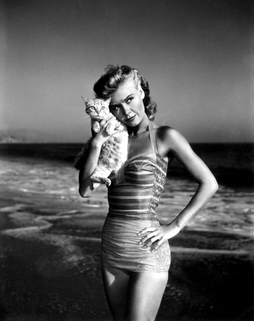 Vera-Ellen posing with kitten on beach, ca. 1940s (KEYSTONE/Everett Collection/) IM BILD / BILDSEITE LIEBEN MICH MEINE KATZEN BUND 23.7. TAGI 26.7.