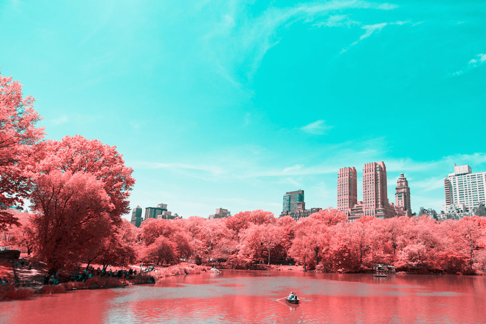 Infrared Take on New York's Central Park (c) Paolo Pettigiani