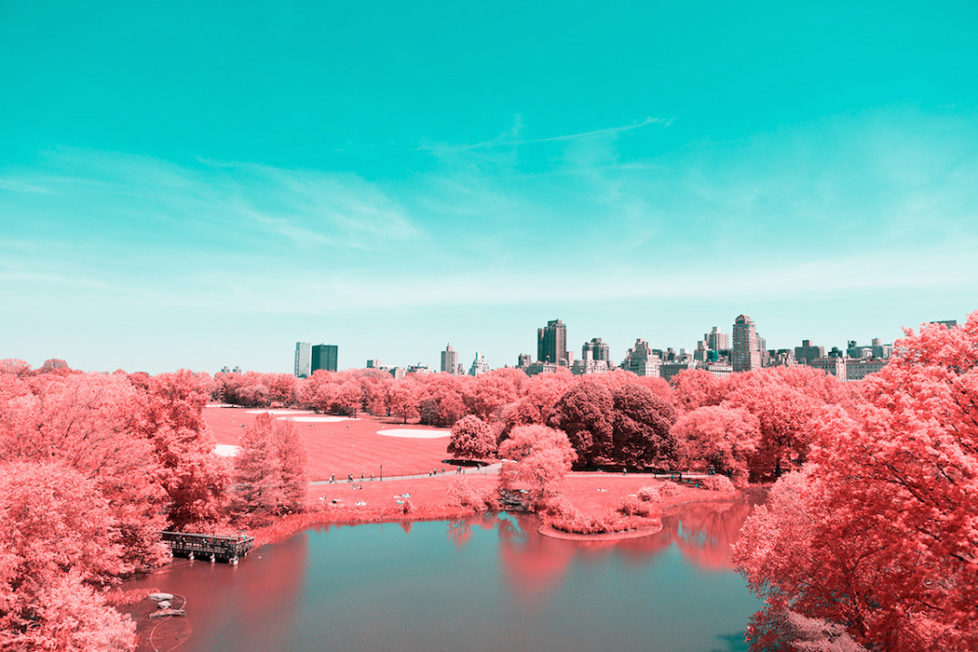 Infrared Take on New York's Central Park (c) Paolo Pettigiani