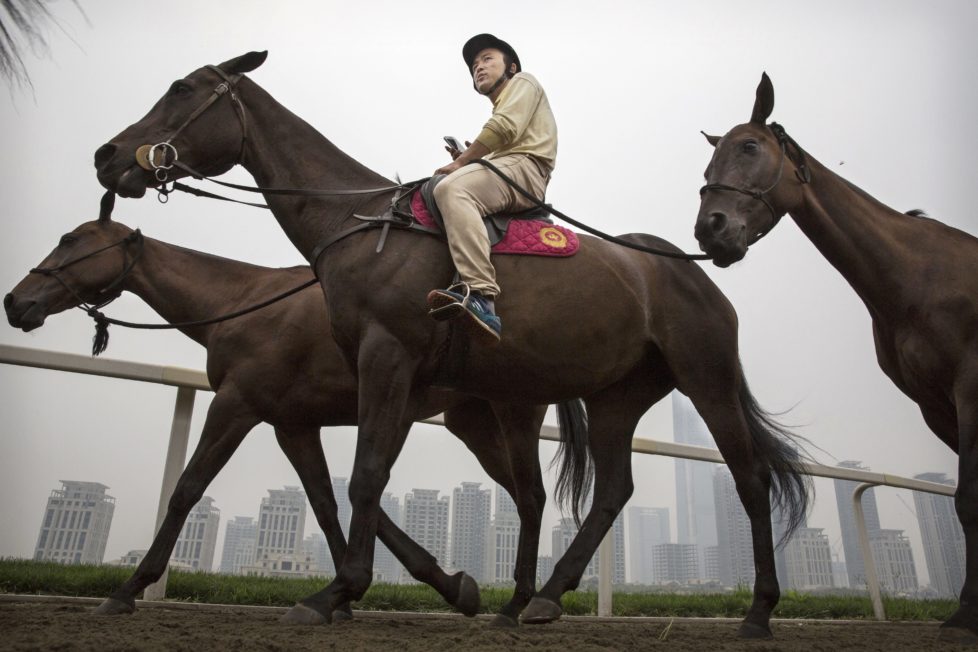 TIANJIN, CHINA - JULY 17: A Chinese horse trainer exercises polo horses at the Tianjin Goldin Metropolitan Polo Club on July 17, 2016 in Tianjin, China. China's rising affluence has nurtured growing interest in polo and other past-times regarded as noble or prestigious by the country's elite. Clubs and international-size polo fields have been built in various cities including Beijing and Shanghai, and on the outskirts of Tianjin, where membership at the exclusive Goldin Metropolitan, China's largest polo club, is by invitation-only and fees can be significant for polo team owners. Increasingly, wealthy Chinese parents are choosing polo and other equestrian activities for their children as a way to bolster their credentials for admission to top-tier universities in the United States and the United Kingdom. While the so-called "sport of kings" became a mainstay in Hong Kong during the era of British rule, polo is a relatively new sport to mainland China. Professional polo players are frequently flown in from countries such as New Zealand and Argentina in order to field competitive matches. Many of the polo clubs in China are tied to luxury real estate developments. (Photo by Kevin Frayer/Getty Images)