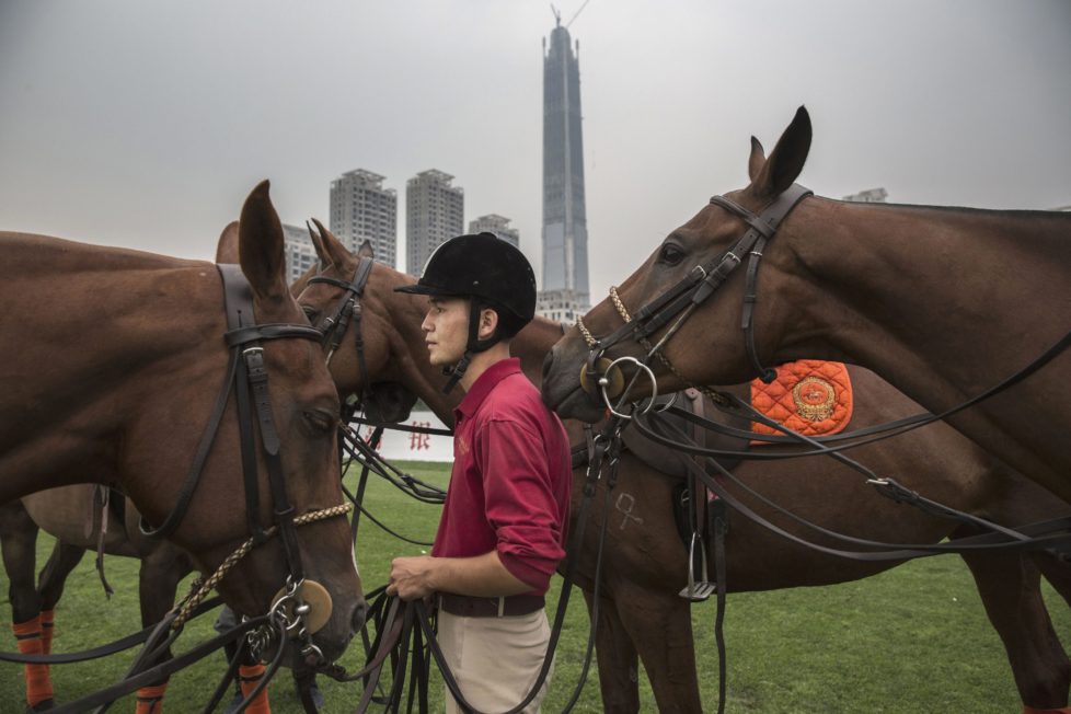 TIANJIN, CHINA - JULY 16: A Chinese horse trainer stands with polo horses during an intervarsity tournament match at the Tianjin Goldin Metropolitan Polo Club on July 16, 2016 in Tianjin, China. China's rising affluence has nurtured growing interest in polo and other past-times regarded as noble or prestigious by the country's elite. Clubs and international-size polo fields have been built in various cities including Beijing and Shanghai, and on the outskirts of Tianjin, where membership at the exclusive Goldin Metropolitan, China's largest polo club, is by invitation-only and fees can be significant for polo team owners. Increasingly, wealthy Chinese parents are choosing polo and other equestrian activities for their children as a way to bolster their credentials for admission to top-tier universities in the United States and the United Kingdom. While the so-called "sport of kings" became a mainstay in Hong Kong during the era of British rule, polo is a relatively new sport to mainland China. Professional polo players are frequently flown in from countries such as New Zealand and Argentina in order to field competitive matches. Many of the polo clubs in China are tied to luxury real estate developments. (Photo by Kevin Frayer/Getty Images)