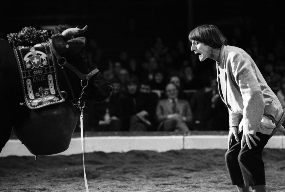 Der Clown Dimitri mit einer Kuhnummer im Zirkus Knie, aufgenommen 17. Maerz 1973. (KEYSTONE/Str)