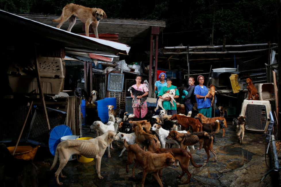 (L-R) Maria Silva, Milena Cortes, Maria Arteaga, Jackeline Bastidas and Gissy Abello pose for a picture at the Famproa dogs shelter where they work, in Los Teques, Venezuela, August 25, 2016. REUTERS/Carlos Garcia Rawlins       SEARCH "DOG LIFE" FOR THIS STORY. SEARCH "WIDER IMAGE" FOR ALL STORIES.      TPX IMAGES OF THE DAY  - RTX2OI5B