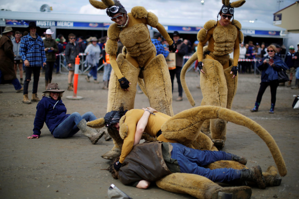 One of several men dressed as a kangaroo is tackled by a drunk man at the Deni Ute Muster in Deniliquin, New South Wales, Australia, September 30, 2016. REUTERS/Jason Reed SEARCH "UTE CULTURE" FOR THIS STORY. SEARCH "THE WIDER IMAGE" FOR ALL STORIES.