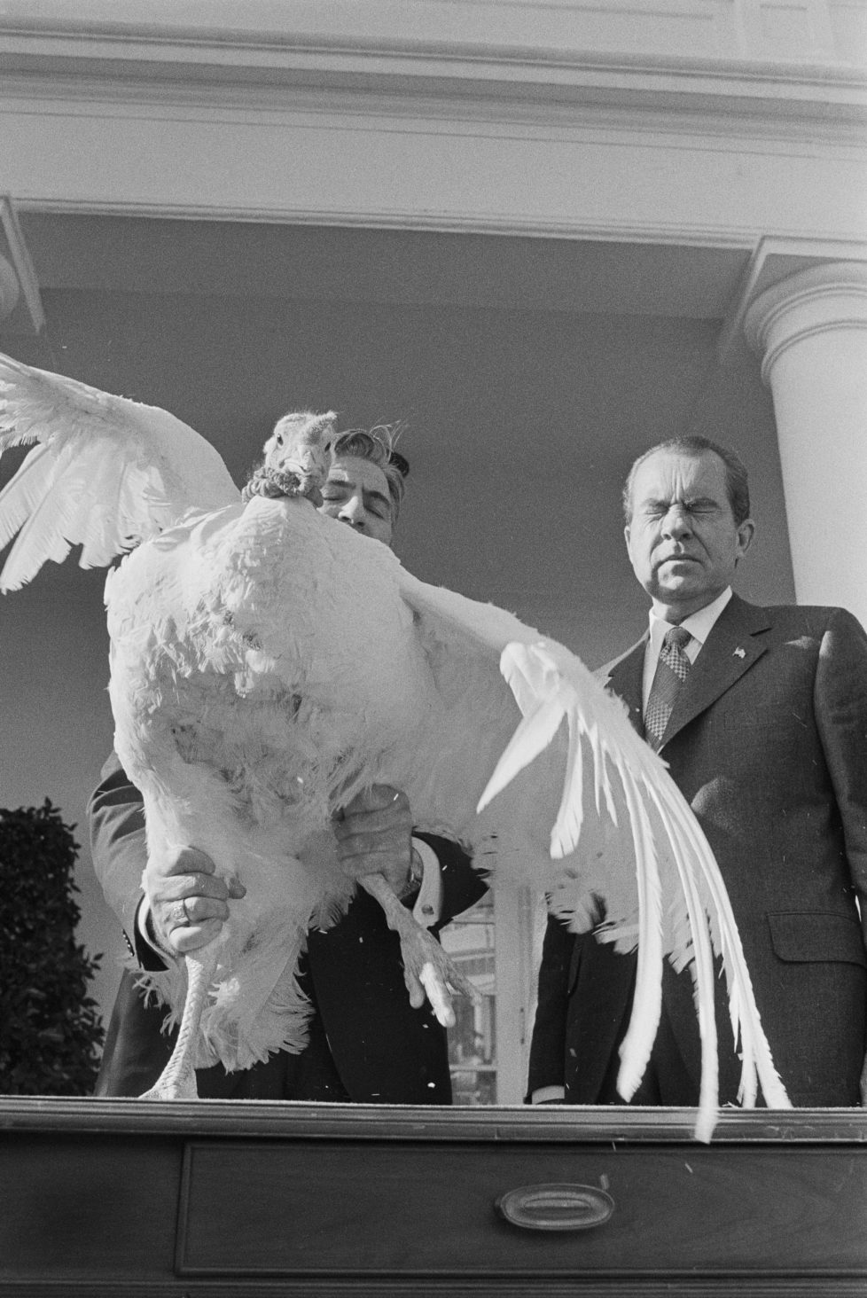 President Nixon Grimacing at Thanksgiving Turkey (Photo by © Wally McNamee/CORBIS/Corbis via Getty Images)
