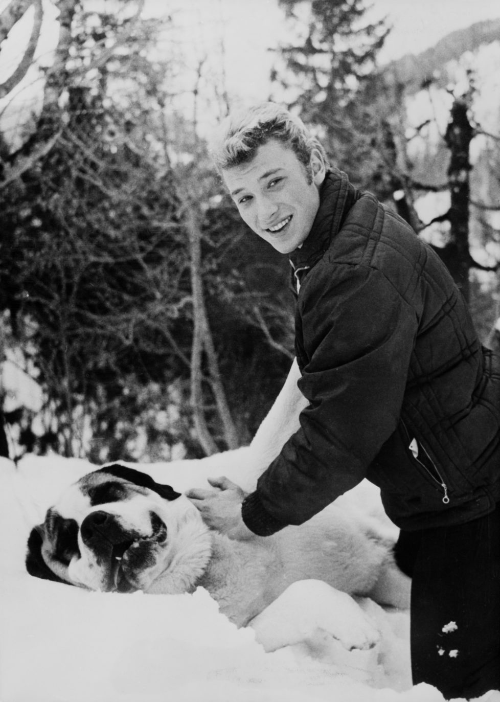 GSTAAD, SWITZERLAND - JANUARY 07: Johnny Hallyday playing with a Saint Bernard dog in Gstaad, Switzerland, on January 7, 1962. (Photo by Keystone-FranceGamma-Rapho via Getty Images) *** Local Caption *** Johnny Hallyday